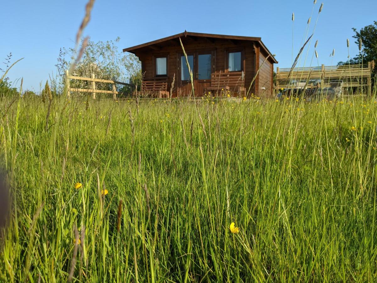 Foxhill Lodges Κάντεμπερι Εξωτερικό φωτογραφία